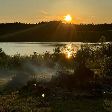 Wilcze Wzgorze Tajemniczy Klon *
